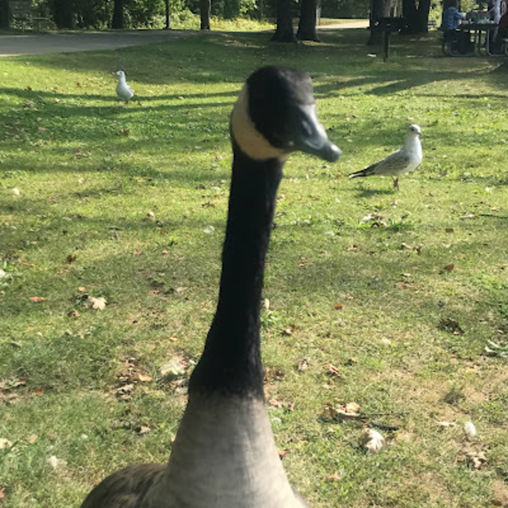 Meet your Posher, Ar'reanna